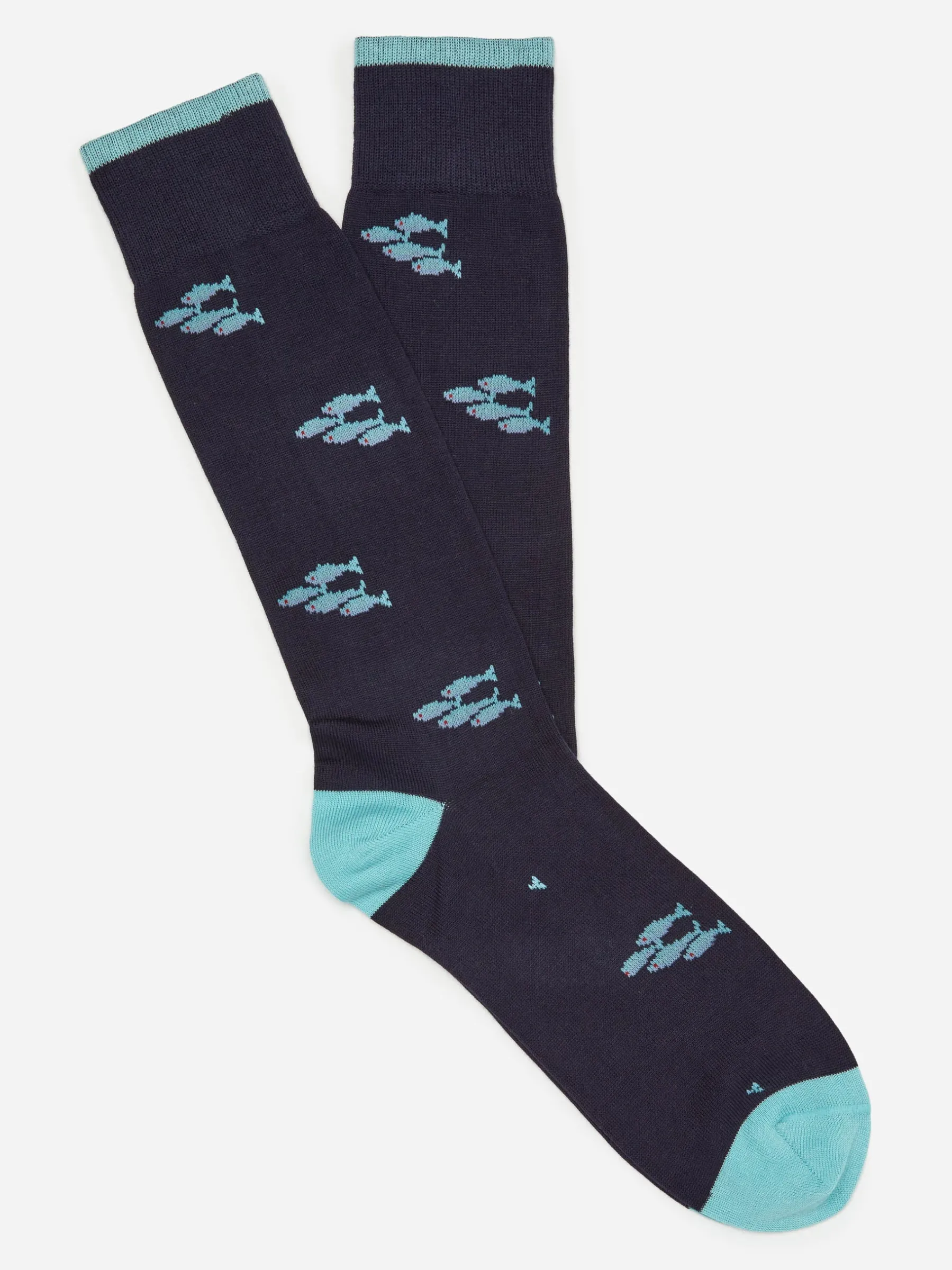 Socks In School Of Fish-J.McLaughlin New